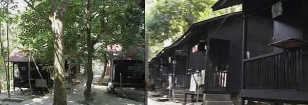 大禅堂下方密集寮房区，没有附有浴厕的小kuti。  